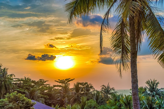 Free Vietnam View photo and picture