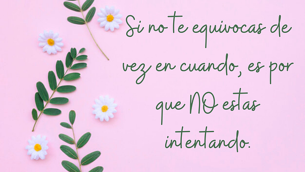 Texto, Frases, Sentença, Encontro Data