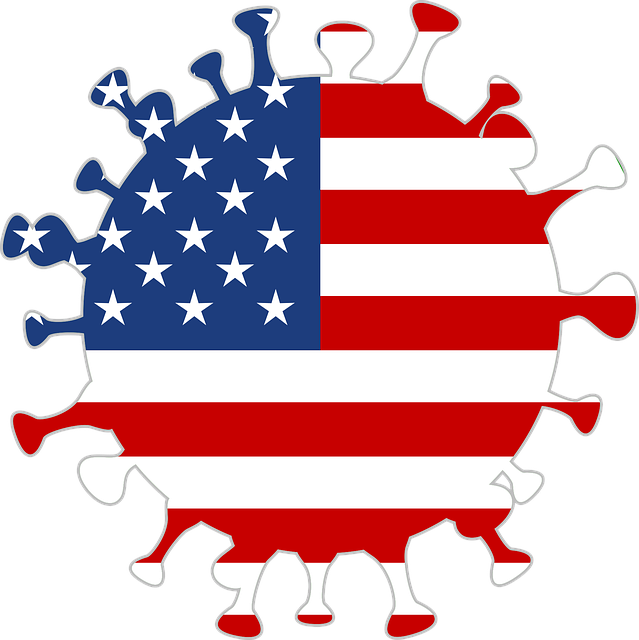 Free coronavirus icon usa vector