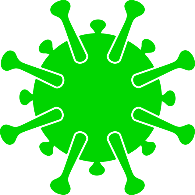 Free coronavirus stay home symbol vector