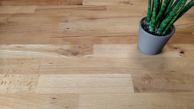 Free Wood Plant photo and picture