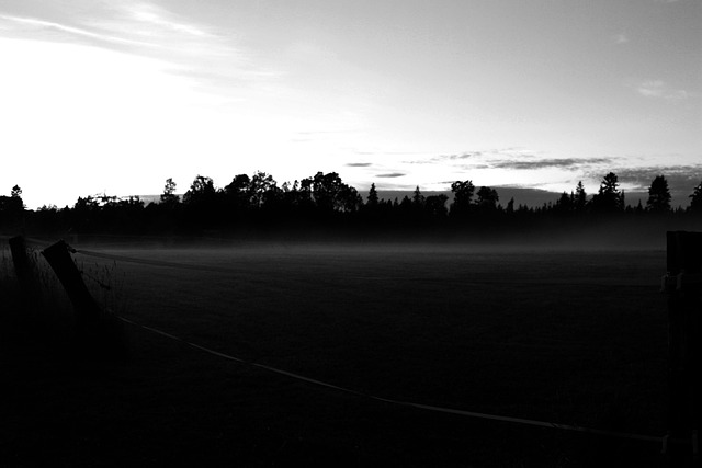 Free Mist Misty photo and picture