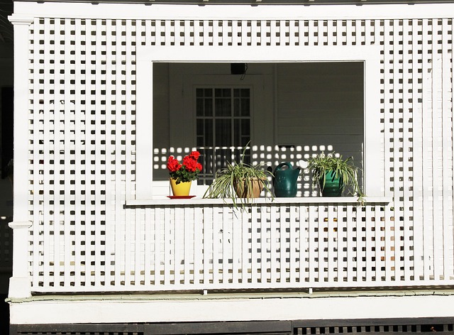 Free Porch Morning photo and picture