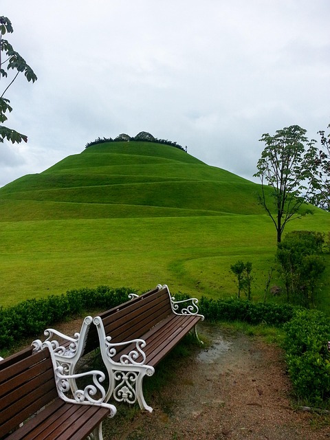 Free Suncheon Park photo and picture