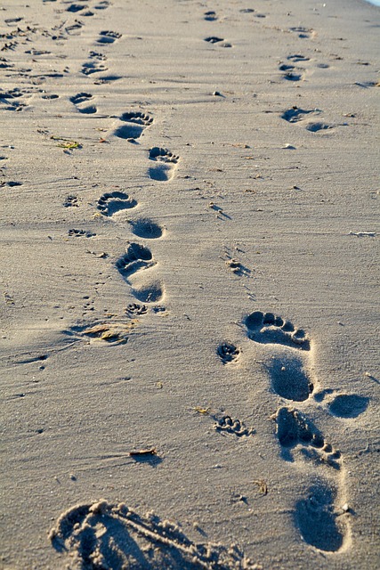 Free Sense Sand photo and picture