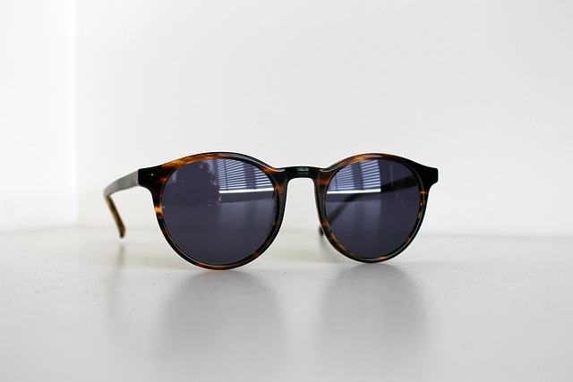 Free Sunglasses Glasses photo and picture