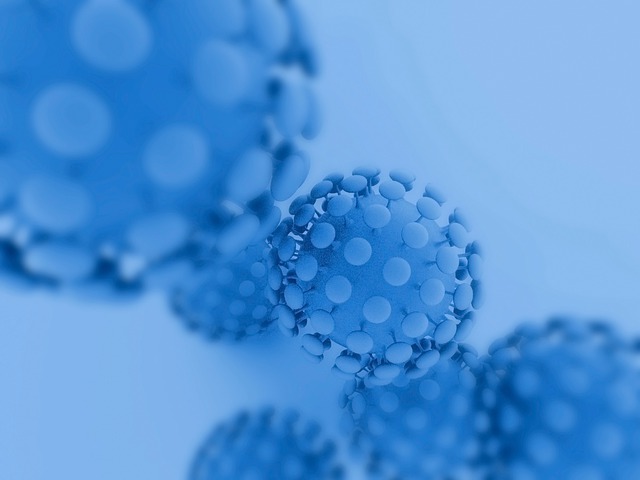 Free covid-19 coronavirus virus illustration