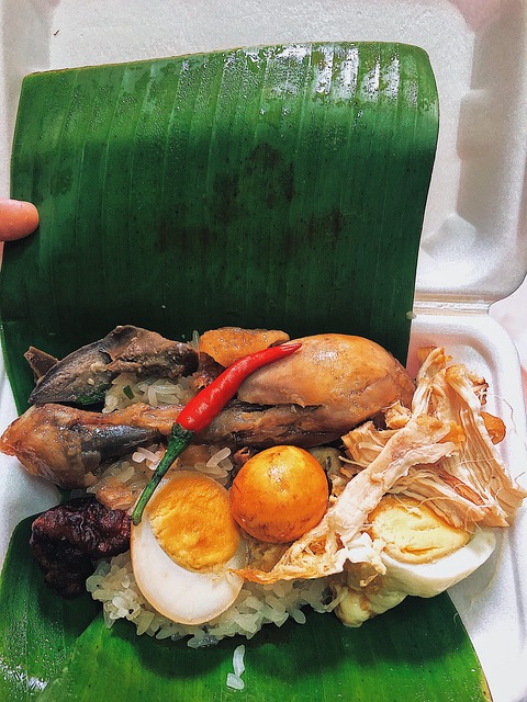 Sticky Rice With Chicken Breakfast - Free photo on Pixabay - Pixabay