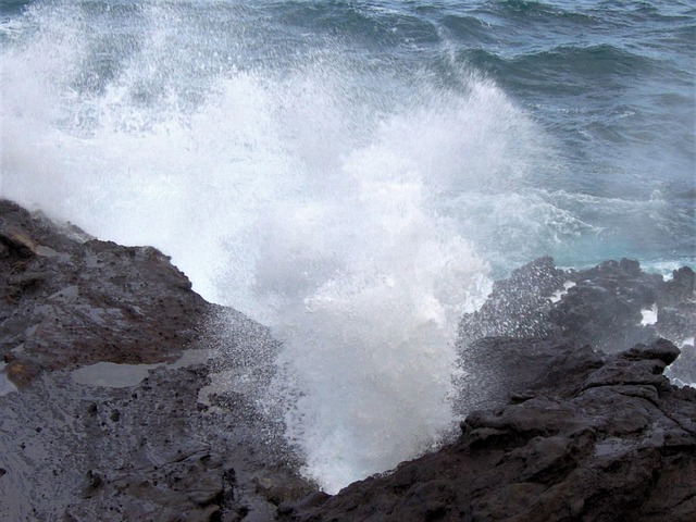 Free Sea Surf photo and picture
