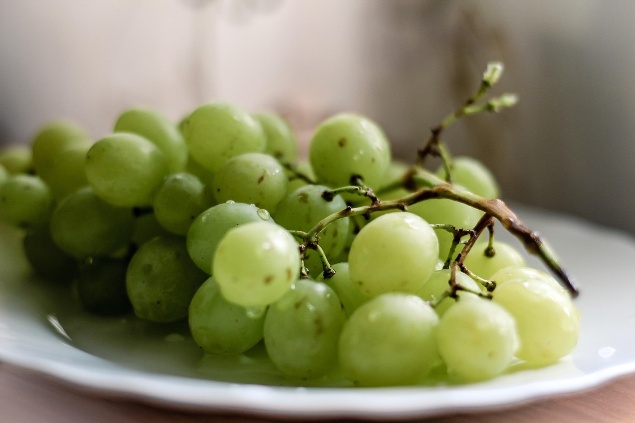 Traube Lebensmittel Gesund - Kostenloses Foto auf Pixabay - Pixabay