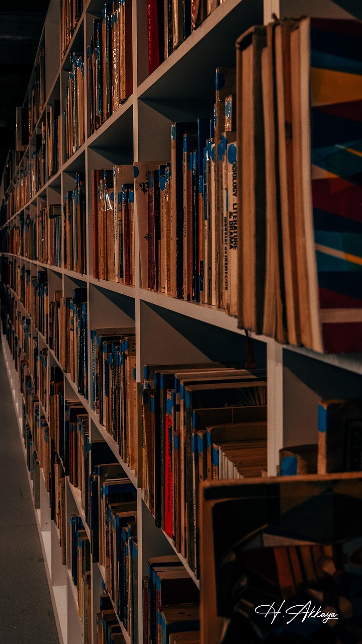 Livre Une Bibliothèque Rack - Photo gratuite sur Pixabay - Pixabay