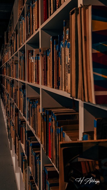 Free Book Library photo and picture