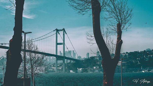 Free Istanbul Throat photo and picture