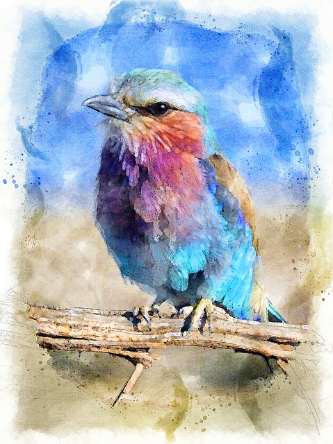Free Bird Colorful illustration and picture