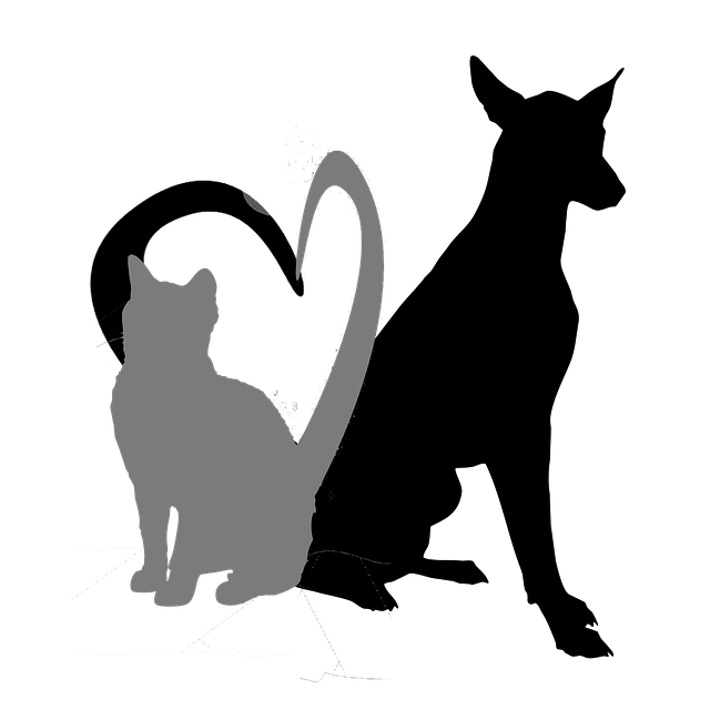 Download Dog Cat Love Royalty Free Stock Illustration Image Pixabay Download dog cat love royalty free stock illustration image pixabay