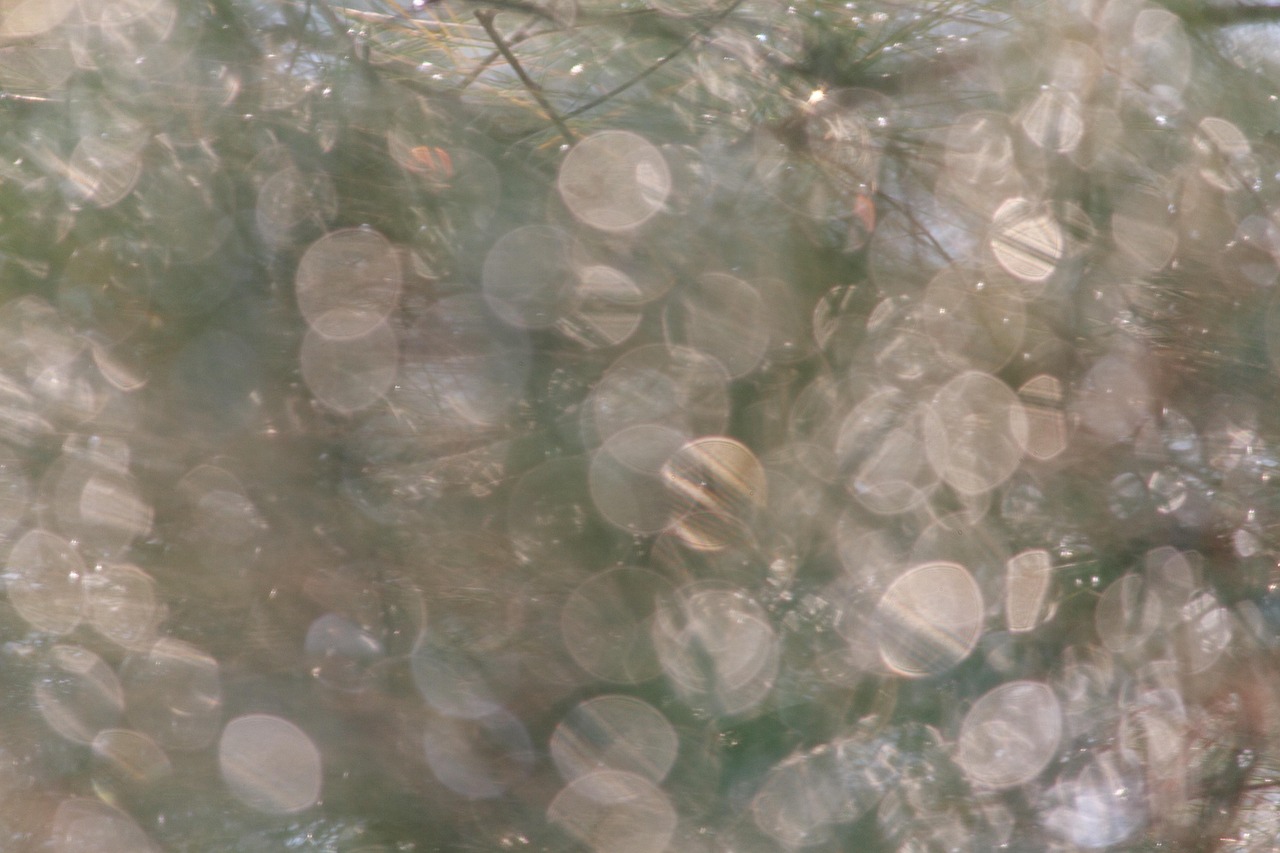 Background Bokeh - free online jigsaw puzzle photo