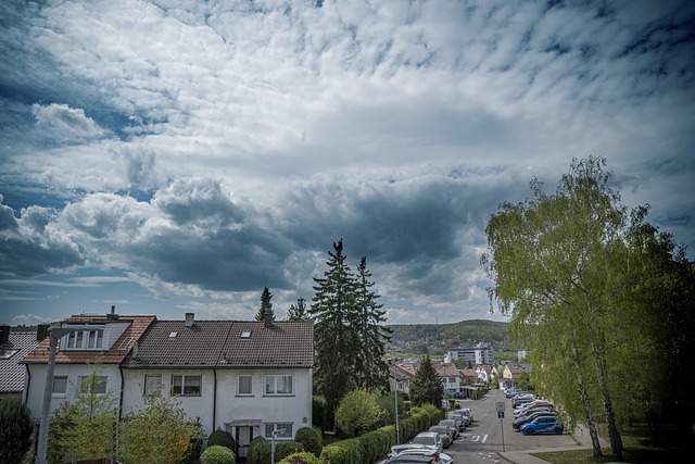 Free Leonberg Germany photo and picture