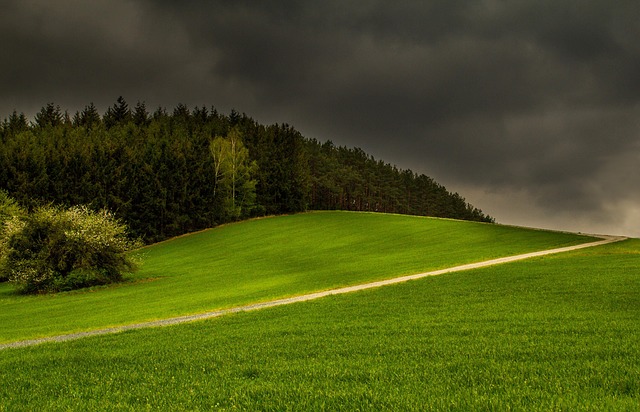 Free Thunderstorm Spring photo and picture