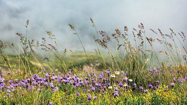 이혼판결후 파산신청5