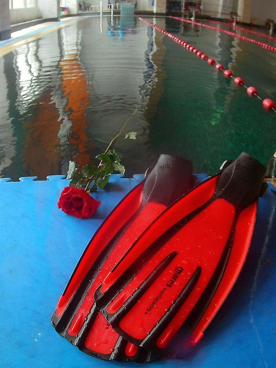 Diving Equipment Romance Rose Free photo on Pixabay Pixabay