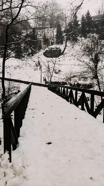 Free Snow Winter photo and picture