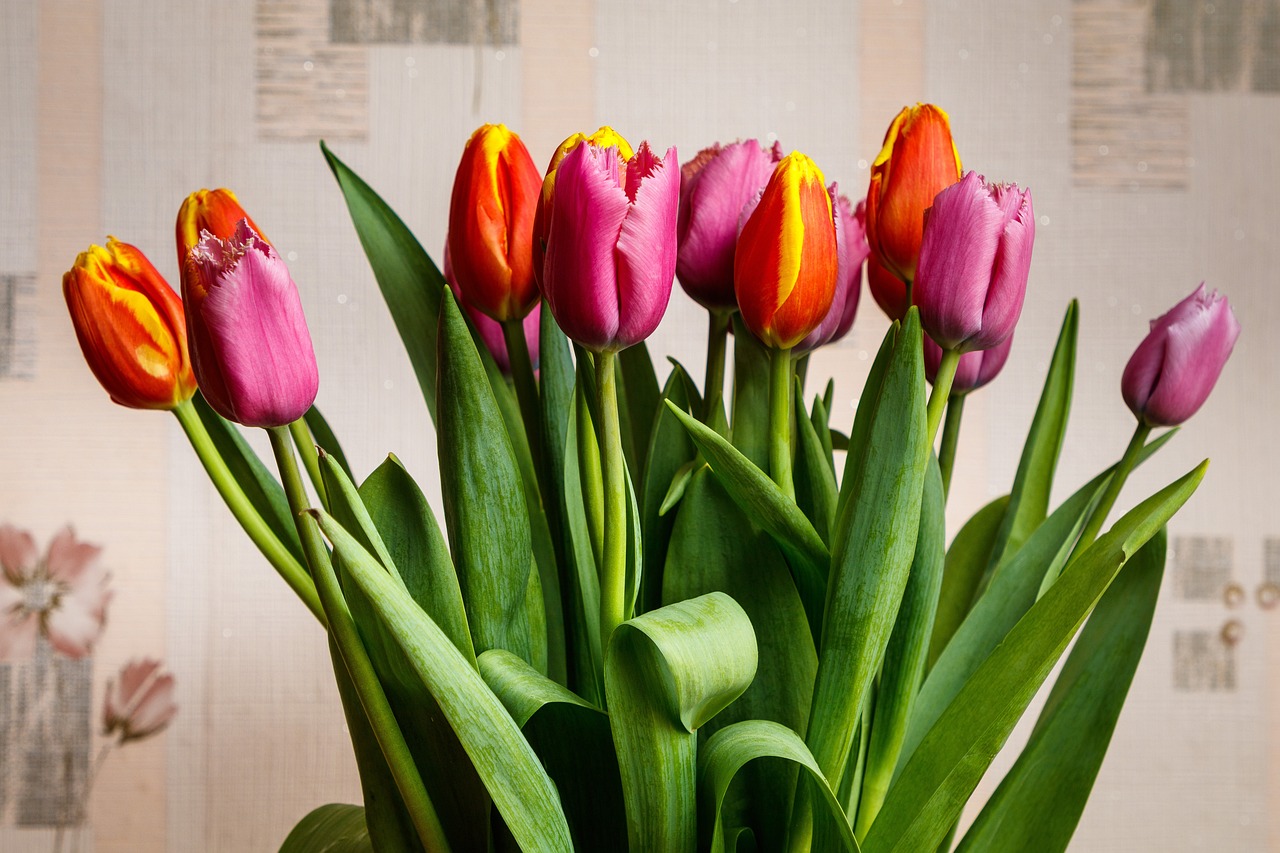 Tulips Flowers Bouquet Free photo on Pixabay Pixabay