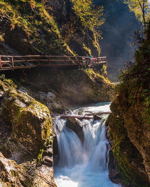 Free Canyon Clammy photo and picture