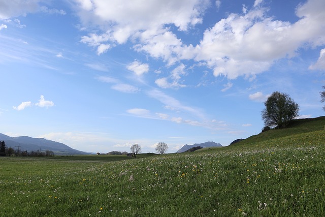 Free Spring Sky photo and picture