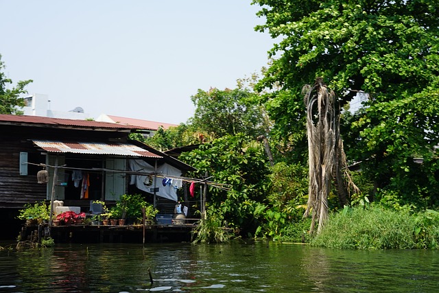 Asien, Sommer, Hütte, Thailand, Natur