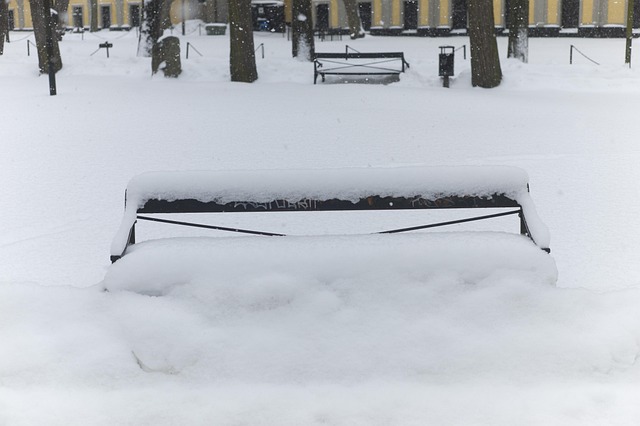 Vinter, Sne, Kold, Bænk, Snefnug, By