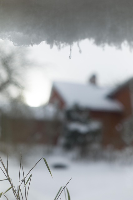 Vinter, Sne, Kold, Frost, Istap, Hus