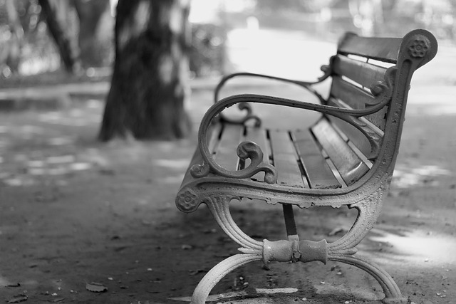 Free Bench Black And White photo and picture