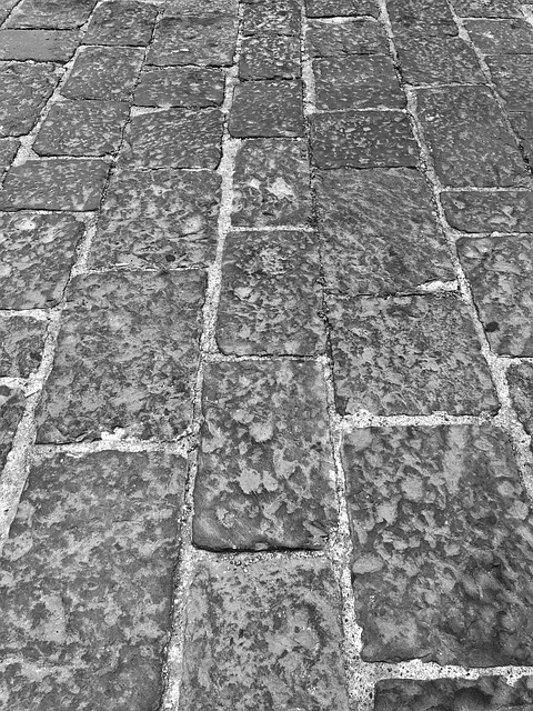 Free Street Asphalt photo and picture