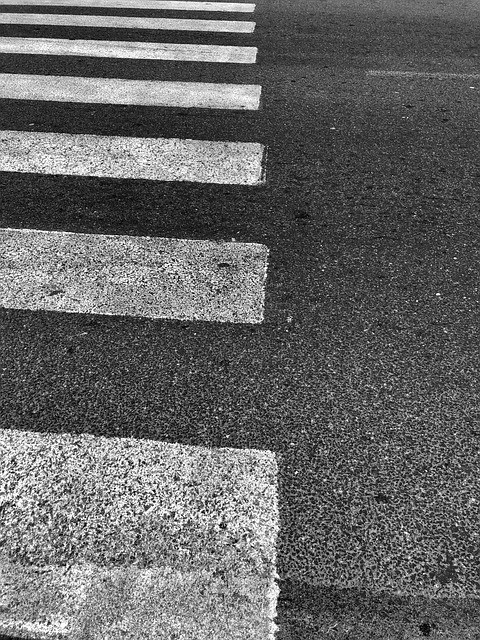 Free Street Crosswalk photo and picture