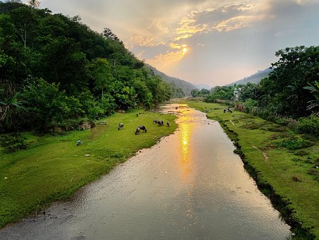 Free The Village Vietnam photo and picture