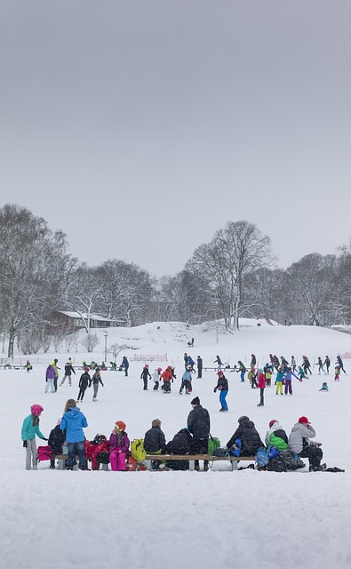 Sne, Skøjtebane, Parkere, Kold, Fart