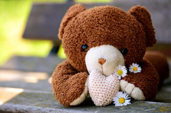400+ kostenlose Bärchen und Teddy-Bilder