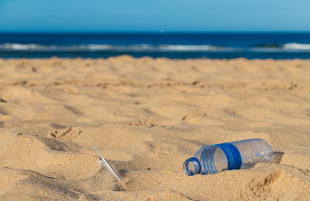 Flasche, Plastik, Meer, Streng