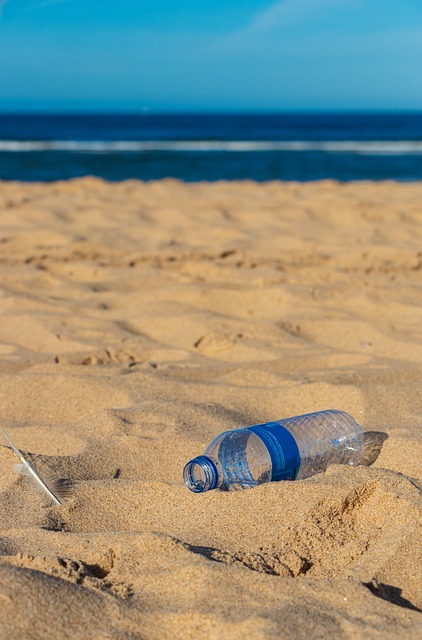 Flasche, Müll, Plastik, Meer, Streng