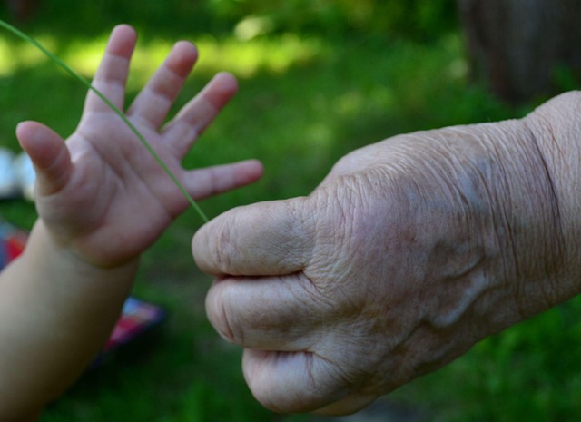 Hand, Hände, Alt, Jung, Zusammen