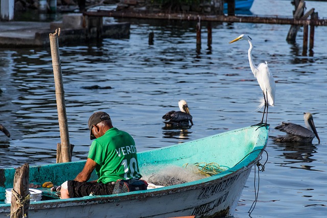 Free Fisherman Fish photo and picture