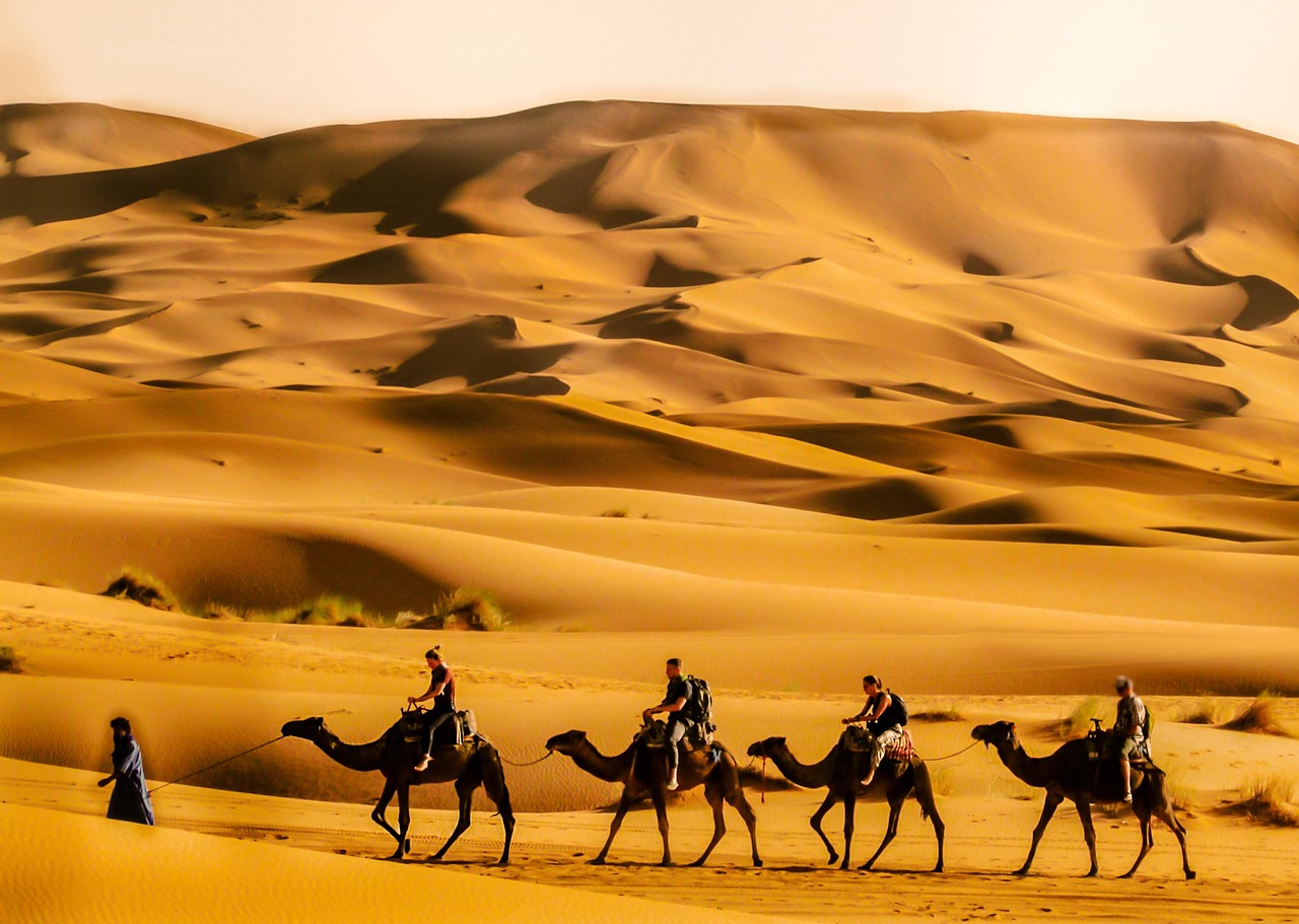 desert, holiday, travel, nature, sand, morocco, sky, arabia, sahara, sun, landscape