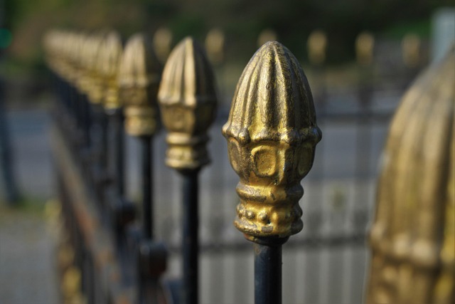 Free Fence Wrought Iron photo and picture