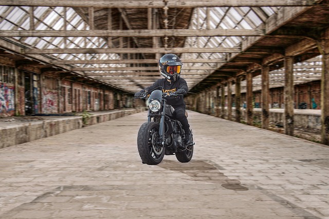 Free Biker Bike photo and picture