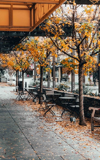 Cafetería, Otoño, Calle