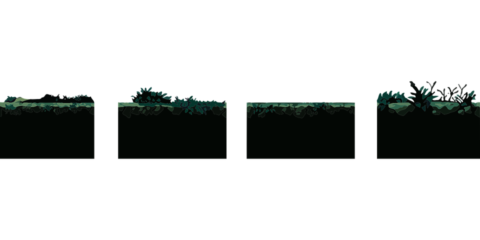 Download Ground, Grass, Floor. Royalty-Free Vector Graphic - Pixabay
