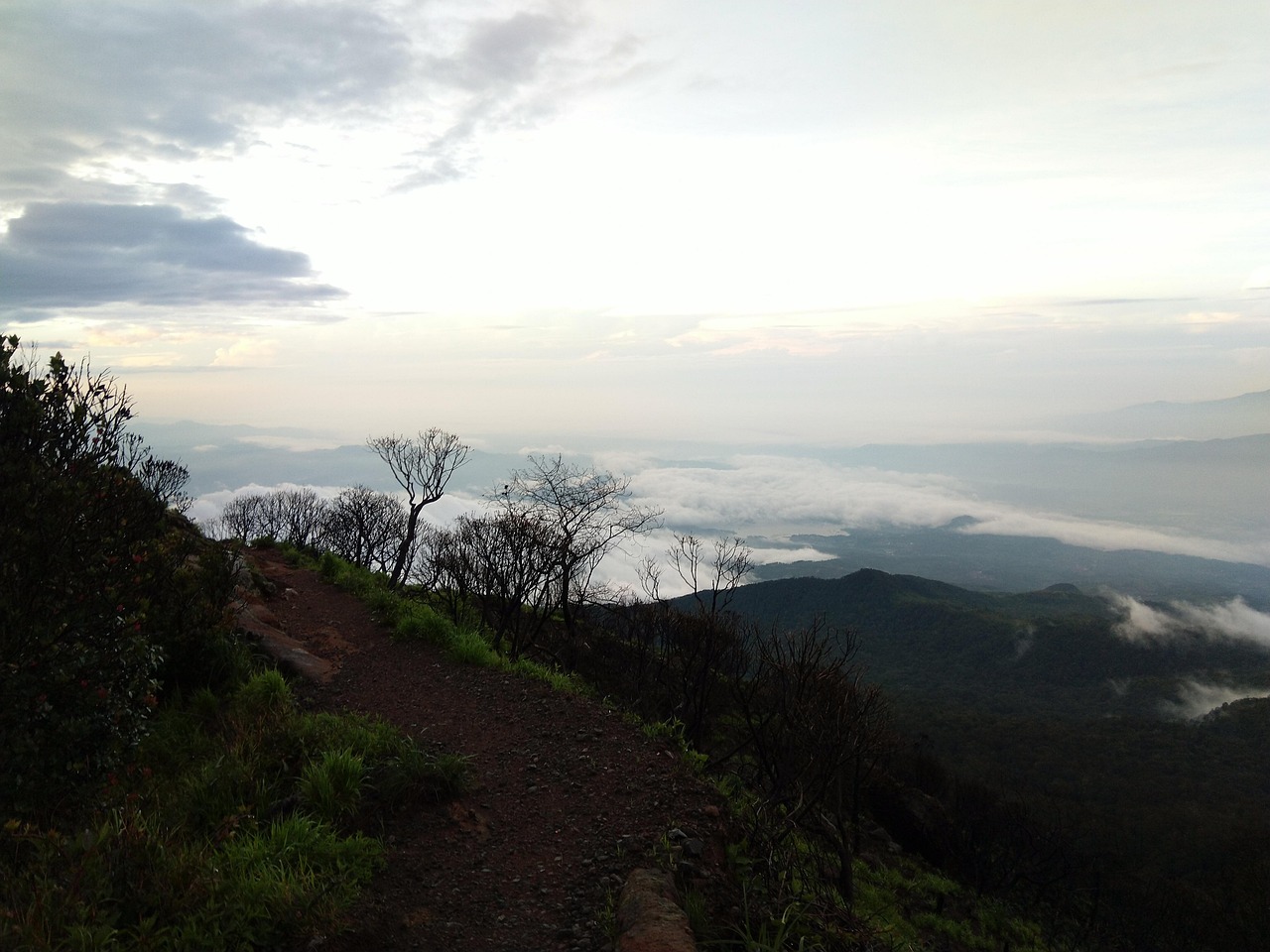早晨 天 - Pixabay上的免费照片 - Pixabay