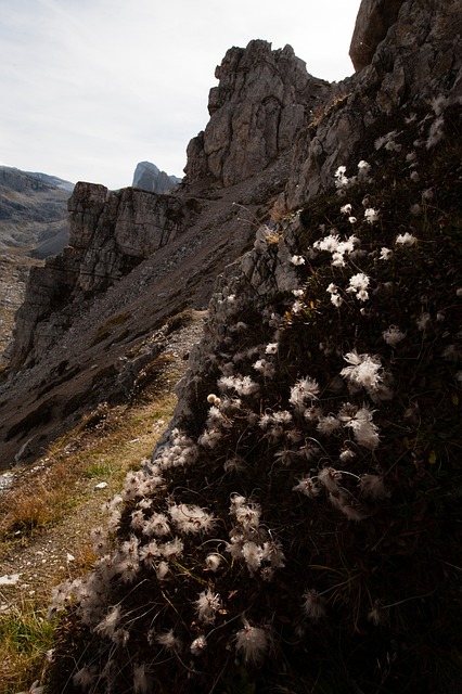 Free Dolomites Mountains photo and picture