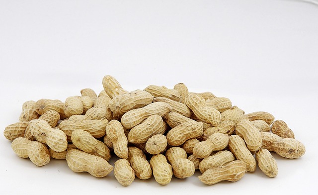 Free Peanut Dry Fruit photo and picture