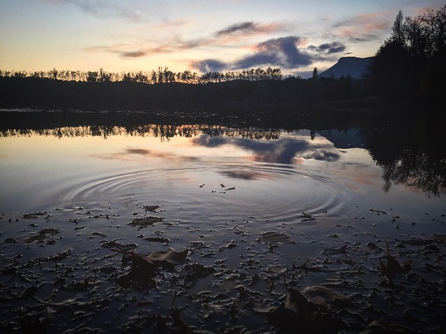 Free Lake Sunset photo and picture
